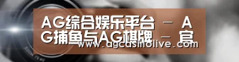 公司动态